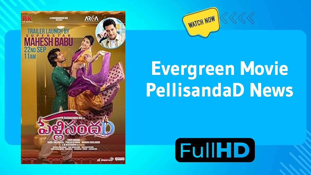 PellisandaD