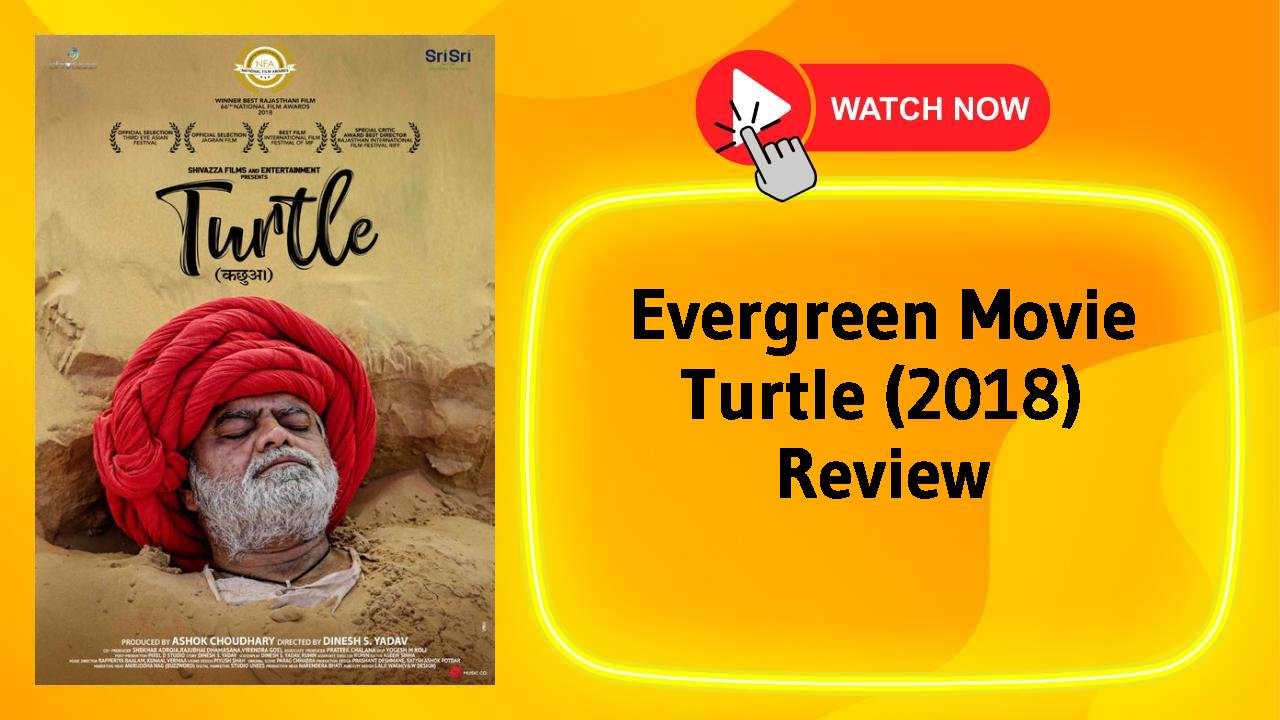 Turtle (2018)